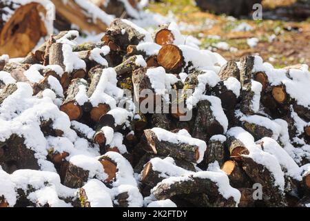 Large firewood stack in winter covered with snow Stock Photo