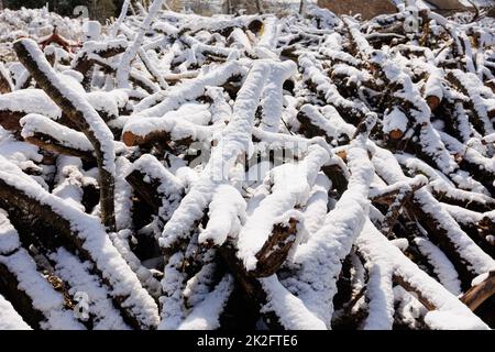 Large firewood stack in winter covered with snow Stock Photo