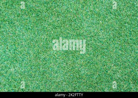 Green grass background in the garden Stock Photo