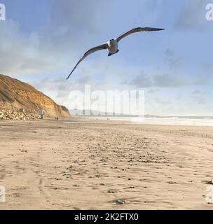 Torry Pines Beach, San Diego, California [use this in title, thanks] Stock Photo