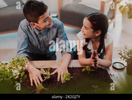 We should spend more time working with plants. Cropped shot of two adorable young siblings smiling at each other while experimenting with plants at home. Stock Photo