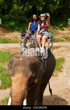 Weve got to capture this once in a lifetime opportunity. Cropped shot of young tourists taking a selfie while on an elephant ride through a tropical rainforest. Stock Photo