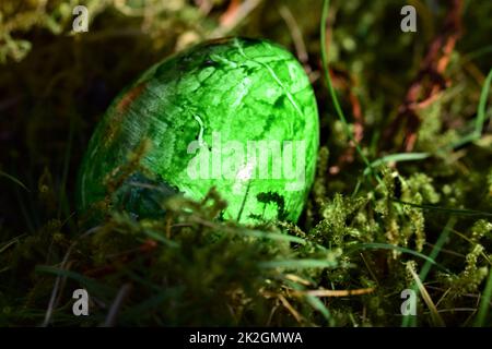 Green colored easteregg in the mossy grass Stock Photo