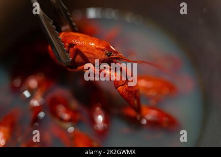 Red fresh appetizing crayfish are boiled in a saucepan. Crayfish for beer. Stock Photo
