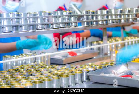 Canned fish factory. Food industry. Workers working in canned food factories to fill sardines in tinned cans. Food processing production line. Food manufacturing industry. Many can on a conveyor belt. Stock Photo