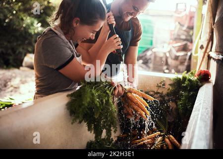 Wash away the excess soil and bacteria. Shot of a happy young couple cleaning and preparing a bunch of freshly picked carrots at their farm. Stock Photo