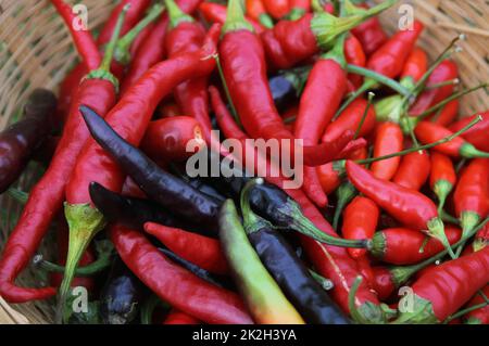 Colorful Basket of Peppers at a Rural Farmers Market Stock Photo - Alamy
