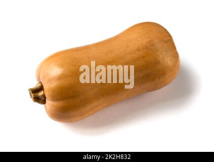 Butternut squash isolated on white background Stock Photo