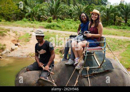 The views are so beautiful from up here. Portrait of young tourists on an elephant ride through a tropical rainforest. Stock Photo