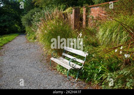 Empty park bench somewhere in a garden in Devon, England. Stock Photo