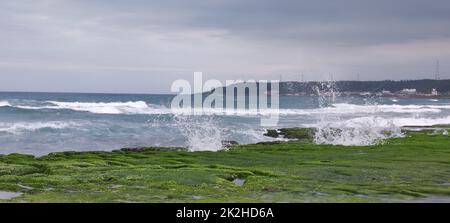 Laomei Green Stone Trough is located in Shimen District on the North Coast, Every April and May, because the northeast monsoon slowly weakens, the local rock trough scientific name: tidal trench and sea erosion trench is covered with a large green seaweed Stock Photo