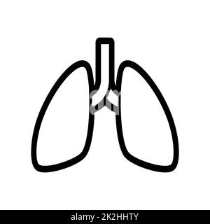 Thin line lungs icon on white background - Vector Stock Photo