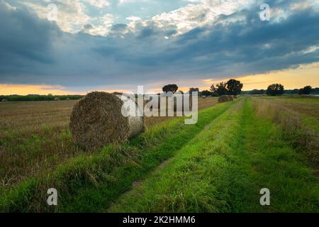 Hay bales next to a dirt path Stock Photo