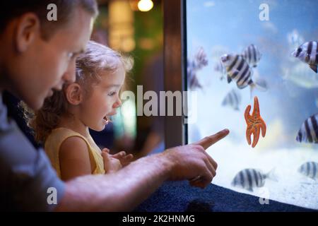 She's focused on those fish. Cropped shot of a little girl on an outing to the aquarium. Stock Photo