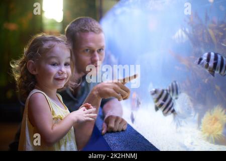 She's focused on those fish. Cropped shot of a little girl on an outing to the aquarium. Stock Photo