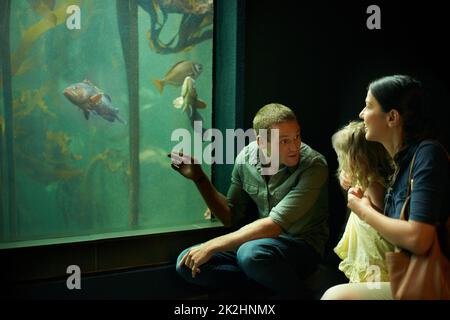 She's focused on those fish. Cropped shot of a little girl on an outing to the aquarium. Stock Photo