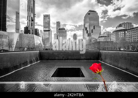 New York City Ground Zero black and white view with red rose Stock Photo