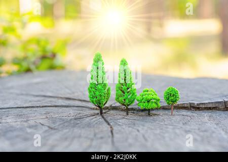 Sun shining behind miniature forest made from toy trees placed on a real tree stump in the woods. New beginnings concept. Stock Photo