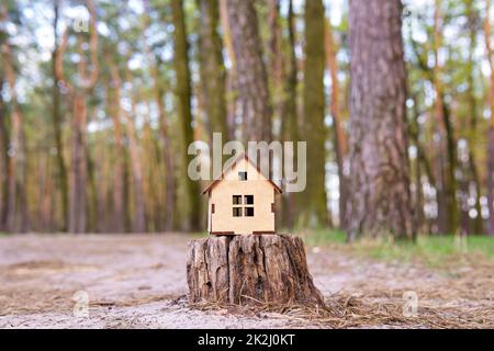 Small wooden toy house model placed on a tree stump in the forest Stock Photo