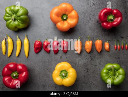Variety of fresh and dried chili peppers Stock Photo