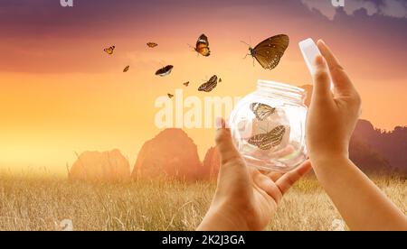 The girl frees the butterfly from the jar, golden blue moment Concept of freedom Stock Photo