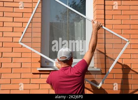 Contractor installing mosquito wire screen on house window to protect from insects. Mosquito wire screen installation. Stock Photo