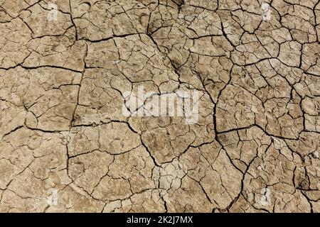 Cracked dry earth with cracks texture Stock Photo