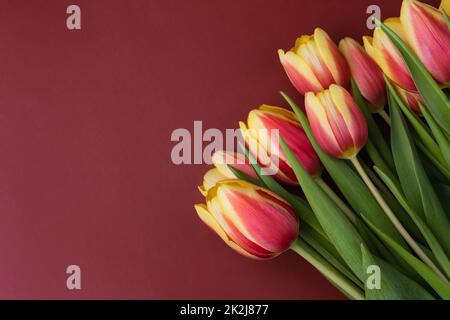 Elegant bouquet of beautiful fresh tulips on a burgundy background Stock Photo