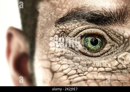 Reptiloid as science fiction character or reptilian conspiracy theory concept. Stock Photo