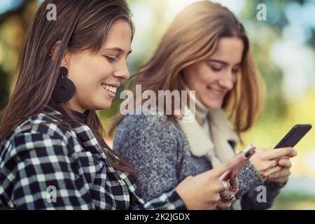 Staying connected, even outside. Cropped shot of two attractive young women using their cellphones while sitting in the park. Stock Photo