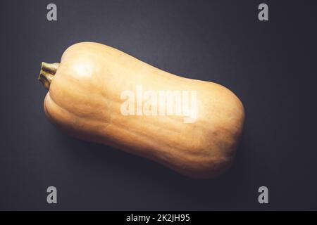 Butternut squash isolated on black background Stock Photo