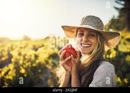 Its pepper picking season. Shot of a young woman holding a freshly picked red pepper on a farm. Stock Photo