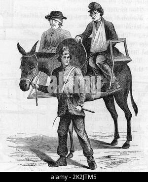 American Civil War 1861-1865. Sitting casualties being transported by mule in cacolets (chairs). Wood engraving 1865. Stock Photo