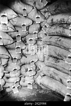 October 1948: A shipment of flour on its way to Austria from New York; tags read 'For European Recovery supplied by the U.S.A', as part of the Marshall Plan. Stock Photo