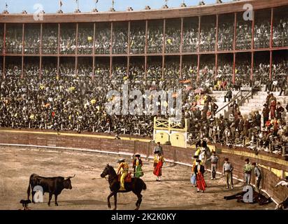 Bull Fight, Barcelona, Spain, Late 19th/early 20th century. A Picador is confronting the bull. A dead horse, gored by the bull, lies in right corner. Stadium Arena Spectator Tradition Blood Sport Tradition Ceremony Photochrome Stock Photo