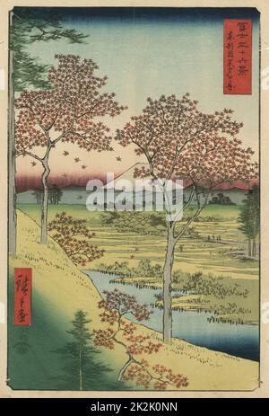 Twilight Hill at Meguro: From 'Thirty-six View of Mount Fuji' 1858. Utagawa Hiroshige (1797-1858) Japanese Ukiyo-e artist. Fuji seen from Meguro, Tokyo, red maple trees in foreground. Landscape with streams a a village. Stock Photo