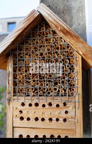 Bee hotel on the balcony of a city flat with many filled nest tubes Stock Photo