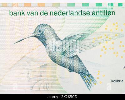 Kolibrie from Netherlands Antillean money Stock Photo