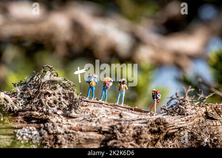Group of hiking friends with backpacks at signpost in a forest Stock Photo