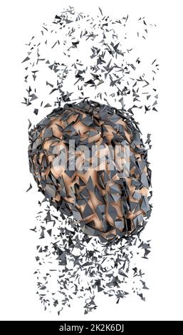 Shattered human brain. Isolated Stock Photo