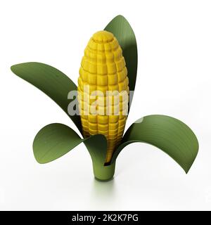 Fresh corn isolated on white background. 3D illustration Stock Photo