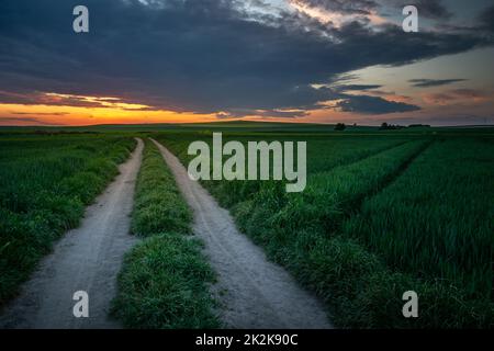 Unpaved road through green fields and sunset Stock Photo