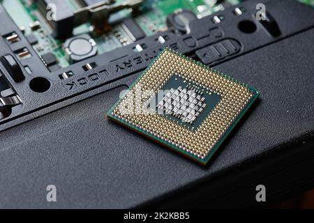 Holding a CPU Stock Photo
