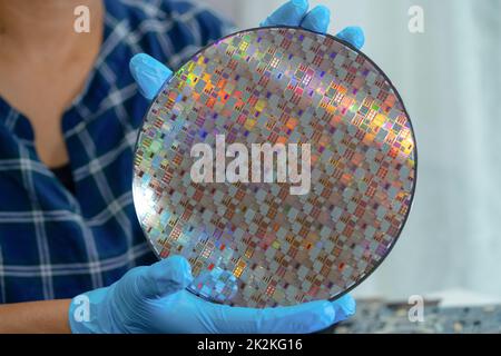 Silicon wafer for manufacturing semiconductor of integrated circuit. Stock Photo