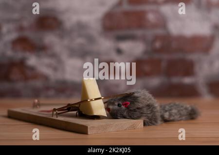 toy mouse trapped in a trap Stock Photo