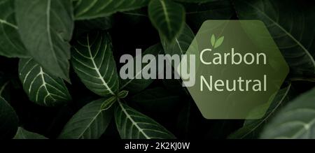Carbon neutral concept. CO2 neutral in hexagon logo on green leaves. Environment day and earth day background. Eco friendly. Ecology environment and conservation. Carbon neutral horizontal web banner. Stock Photo