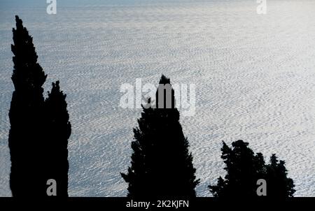 Silhouettes of cypresses in front of the infinite reflections of the Ligurian Sea. Stock Photo