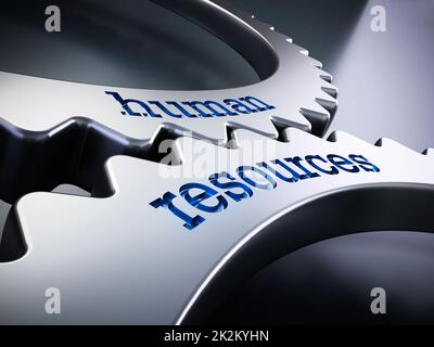 Two gears in motion with human resources text. 3D illustration Stock Photo