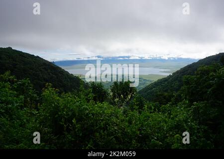 Glimpse on Lake Magadi in the Ngorongoro Crater National Park Stock Photo