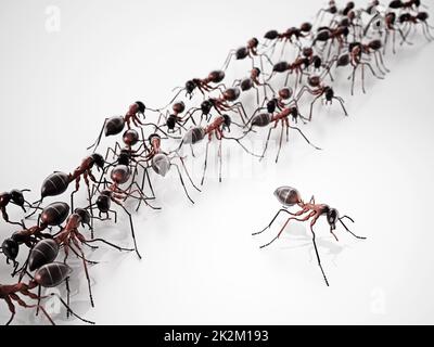 3D illustration of walking ants. Top view. 3D illustration Stock Photo